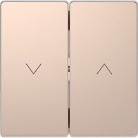 Лицевая панель Schneider Electric Merten D-Life для 2-кл. выключателя жалюзи шампань картинка